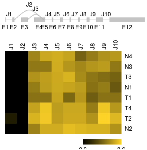 image-20210318112325314