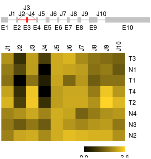 image-20210318113724052