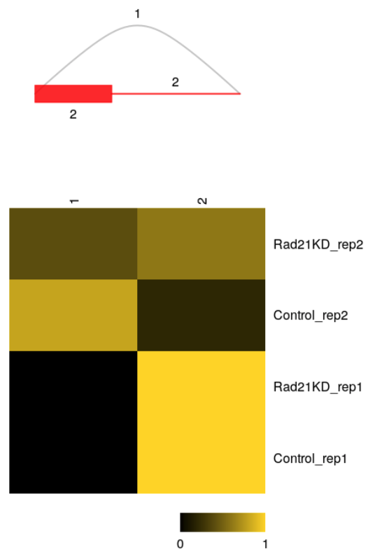 image-20210318121310408