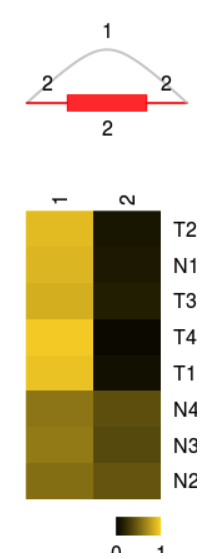 image-20210318123644833